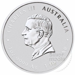 Chinese Myths and Legends - 1oz Four Guardians 2024 red kolor Ag HM