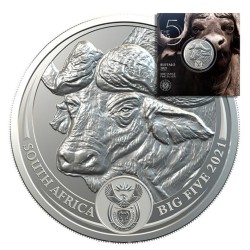 1 oz Big Five Buffalo 2021 in blistr (5. coin)