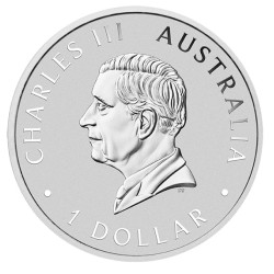 1 oz Australian Kookaburra 35. výročí AUSTRALIA 2025 BU $1