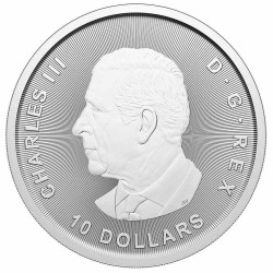 silver coin 2 oz Canada $10 Bull and Bear 2025 BU .9999Ag