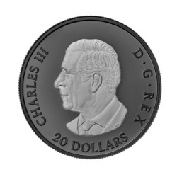 20 CAD 1 oz Elegant Maple leaf CANADA 2025 Black rhodium