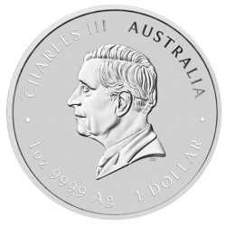 1 oz Lunar III Year of the Snake - Rok hada 2025 BU barevný