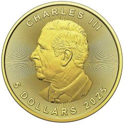 1 oz Papež František věčný život (Maple) 2025 zlacená + kolor HM