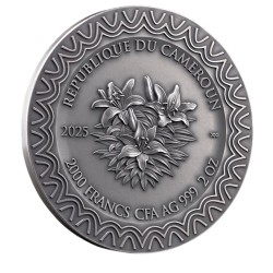 2 oz Celestial Beauty : AURORA 2025 Cameroun 2000CFA Ag