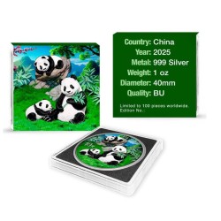 30 g stříbrná mince Čínská Panda 2025 kolorovaná