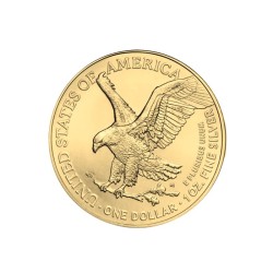 1 oz American Silver Eagle 2025 BU full gilded