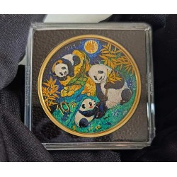30 g stříbrná mince Čínská Panda 2025 kolorovaná zlacená