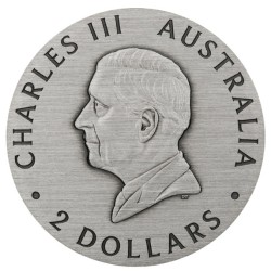 2 oz Honey Bee Australia 2025 Antik kolorovaná