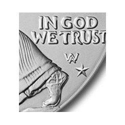 1 oz Silver American Eagle 2024 privy star BU gilded zlacená