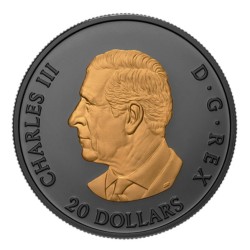 20 CAD 1 oz Elegant Maple leaf gilded CANADA 2025 Black rhodium