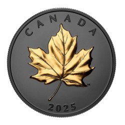 20 CAD 1 oz Elegant Maple leaf gilded CANADA 2025 Black rhodium