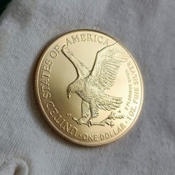 1 oz American Silver Eagle 2024 BU full gilded