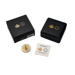 1 oz 3D Sluneční hodiny 20 CAD (The Sundial) KANADA 2025 PROOF gilded