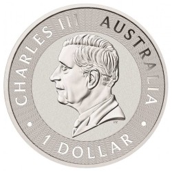 silver coin 1 oz Australian Kangaroo 2026 BU