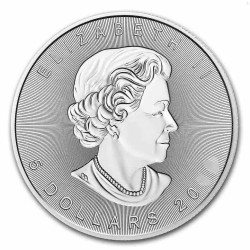 silver coin 1 oz Maple leaf $1 BU (2013-2021) capsuled HM