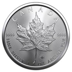 stříbrná mince 1 oz Maple leaf $1 BU (2013-2021) v kapsli HM