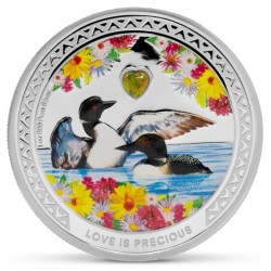 1 oz LOVE IS PRECIOUS - Great Northern Diver 2026 PROOF Niue Ag