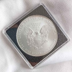1 oz Silver US Eagle 2010 BU in quadrum capsule HM