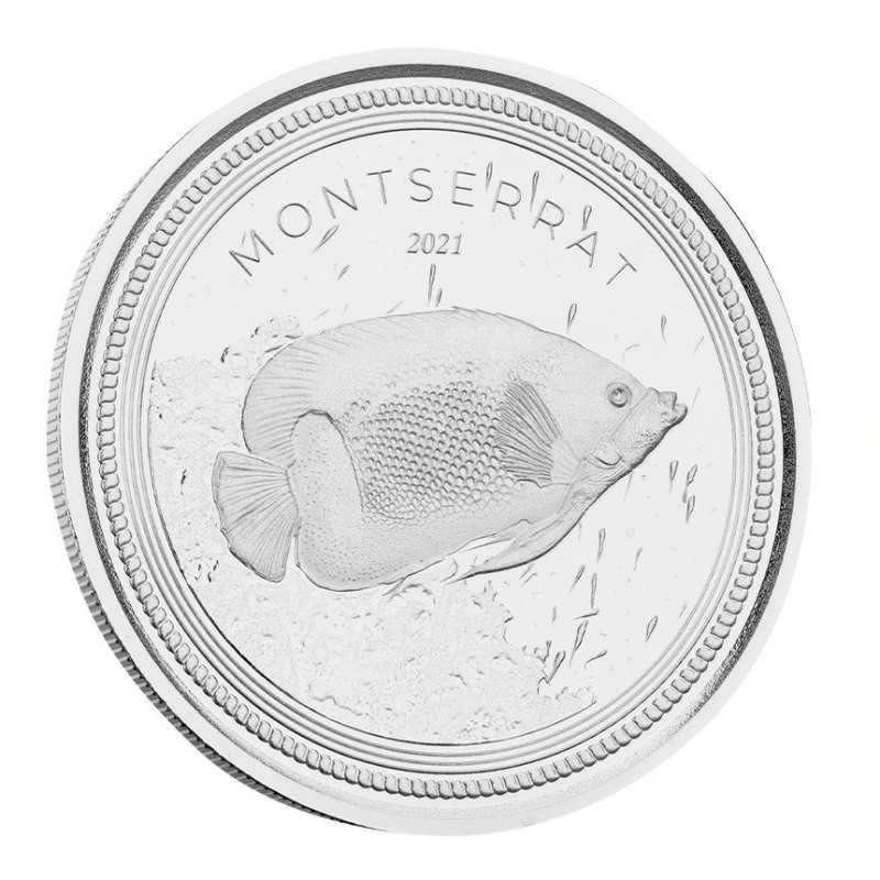 stříbrná mince 1 oz  Montserrat Blue girdled Angelfish 2021 BU