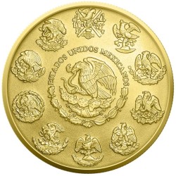 1 oz The hidden code Libertad 2024 Mexico .999Ag gilded