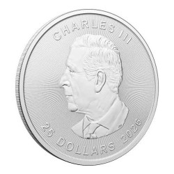 5 oz Canadian Maple Leaf 2026 BU .9999Ag HM