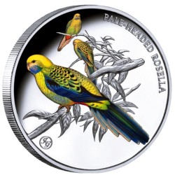 1 oz PAPOUŠEK ROSELA ŽLUTOHLAVÁ 2026 NIUE PROOF