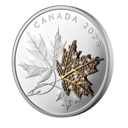 2 oz 30 CAD PRECIOUS MAPLE LEAVES 2026 gilded, diamonds