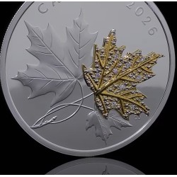 2 oz 30 CAD PRECIOUS MAPLE LEAVES 2026 gilded, diamonds