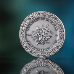 2 oz Celestial Beauty : Flora a Zephyr 2026 Cameroun 2000CFA Ag