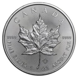 silver coin 1 oz Maple Leaf 2022 (MintDirect® Single)