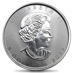 silver coin 1 oz Maple Leaf 2022 (MintDirect® Single)