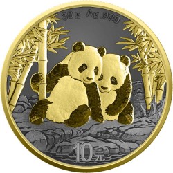1 oz stříbrná China Panda 2026 Golden Ring