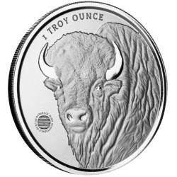 stříbrná 1 oz Buffalo Girl .9999Ag