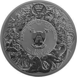 silver 2 oz Slavic Bestiary Domowik Multimetal 1000 Francs Cameroun