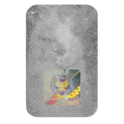 Silver cast bar 10 oz Germania Mint .9999 Ag in case