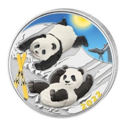 30 g China Panda 2022 40. anniversary BU on Snow