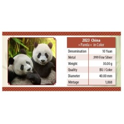 China Panda 2023 BU kolorovaná